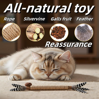 Cat Toys 12PCS Catnip Toy for Indoor Kitten Treat Cats Chew Stick for Dental Cleaning Teeth Kitten