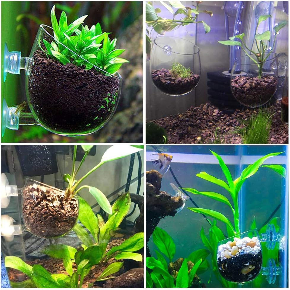 capetsma 4X Crystal Glass Aquarium Plant Pot, Aquarium Aquatic Planter, Red Shrimp Live Plants Fish