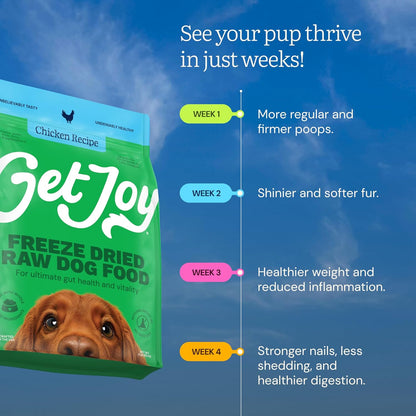 Get Joy Gut Health Fresh Freeze Dried Raw Meal, Chicken Recipe, 16 Ounce Bag, Dog Food for Dogs of