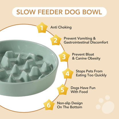 Ceramic 9.5 inch Dog Bowl Slow Feeder, Slow Pet Food Dish for Large Dog, Stop Bloat, Preventing