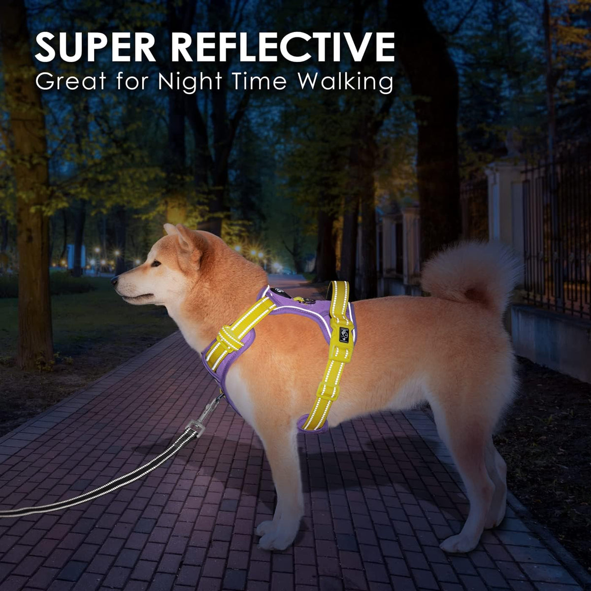 PHOEPET No Pull Dog Harness, Unique Colors Reflective Adjustable Dog Vest, with Soft Training