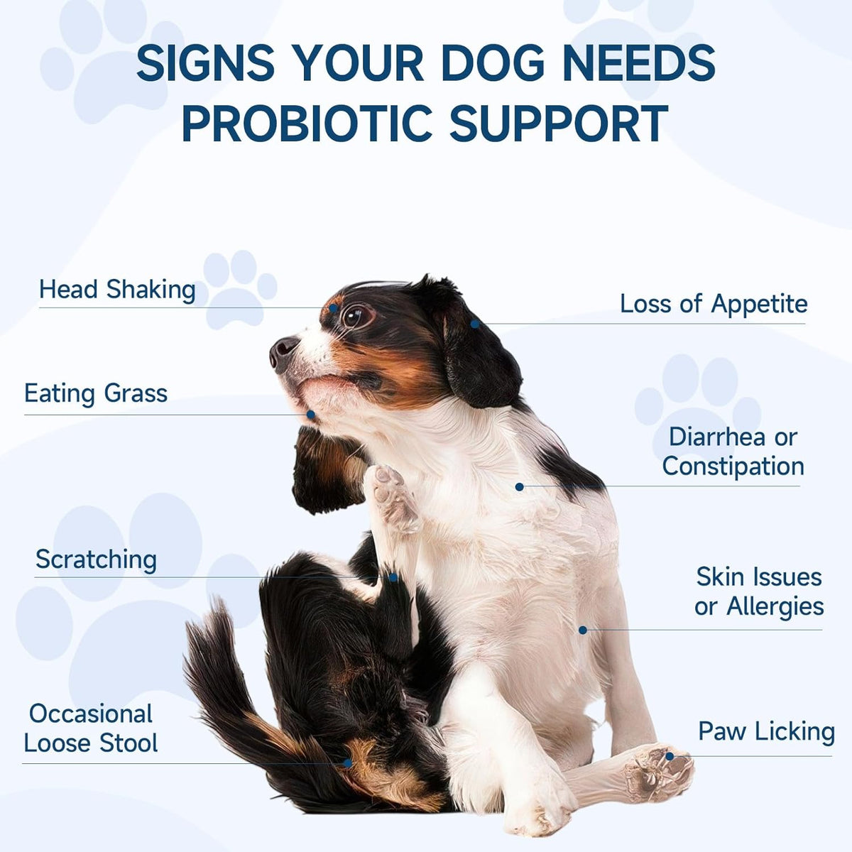 Dog Probiotic for Dogs, 200 Soft Treats Dog Probiotics for Digestive Health & Immune System