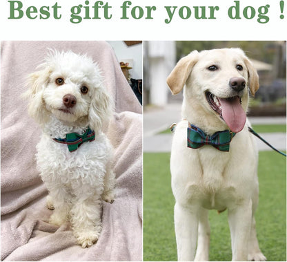 Unique style paws Dog Collar with Bow Tie Christmas Dog Collar for Small Medium Large Dogs with
