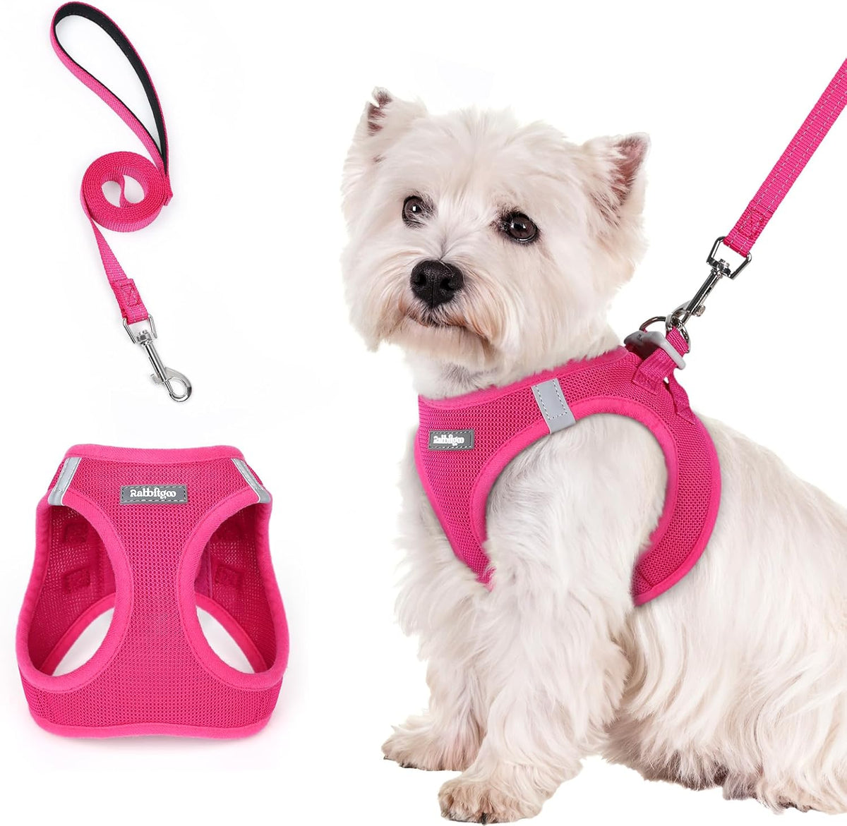 rabbitgoo Dog Harness Small Sized and Leash Set, Step in Soft Light Puppy Vest, Breathable Mesh Pet