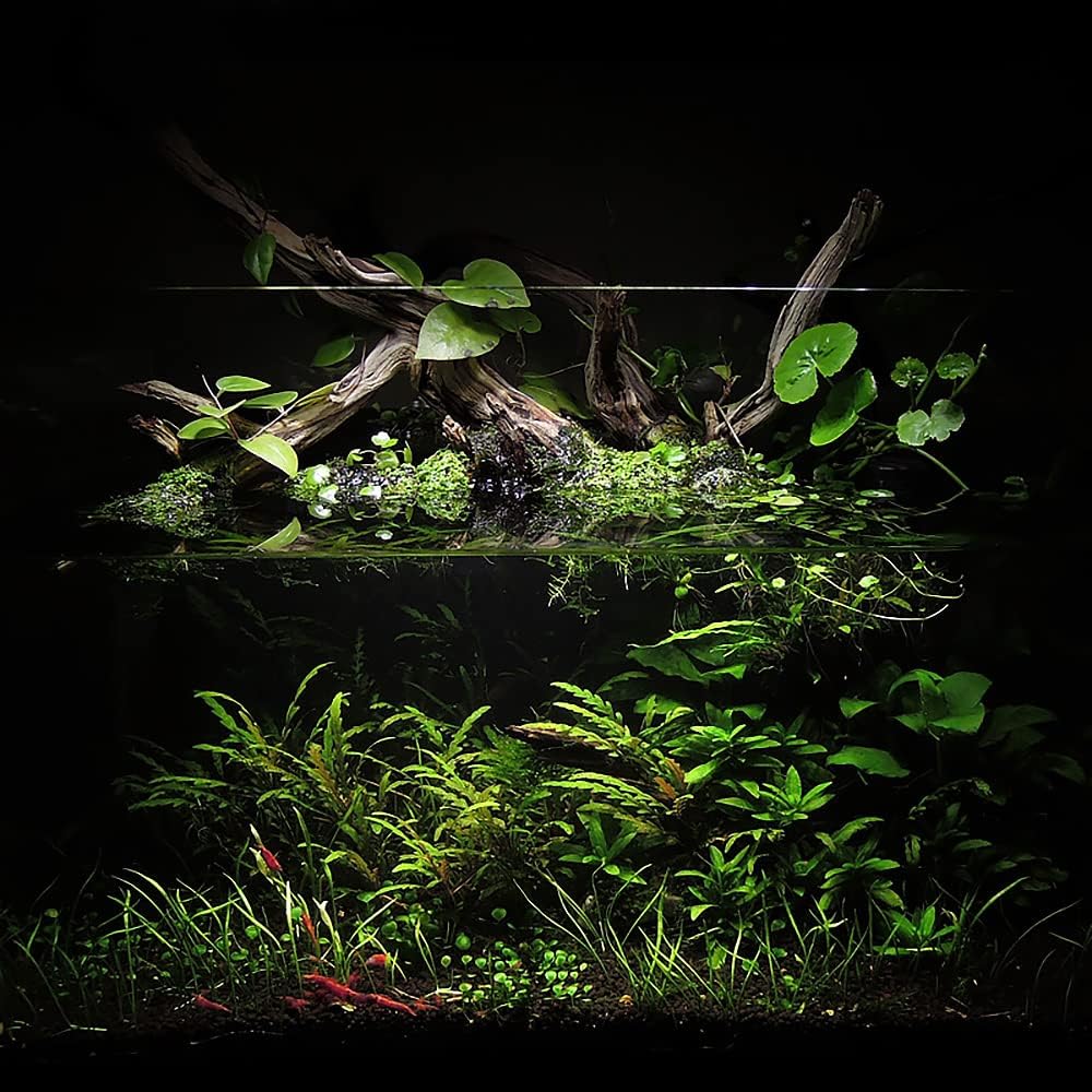 Ultum Nature Systems Controsoil - Freshwater Aqua Soil Substrate for Fish, Shrimp, Live Plant
