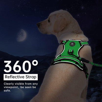 IVY&LANE No Pull Dog Harness for Medium Dogs, Dog Vest Harness with Leash, Safety Belt and Storage