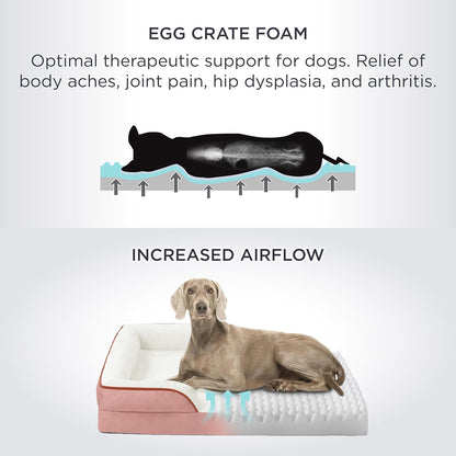 Bedsure Orthopedic Dog Beds Large Sized Dog - Washable Large Dog Cat Bed Waterproof, Comfort Dogs