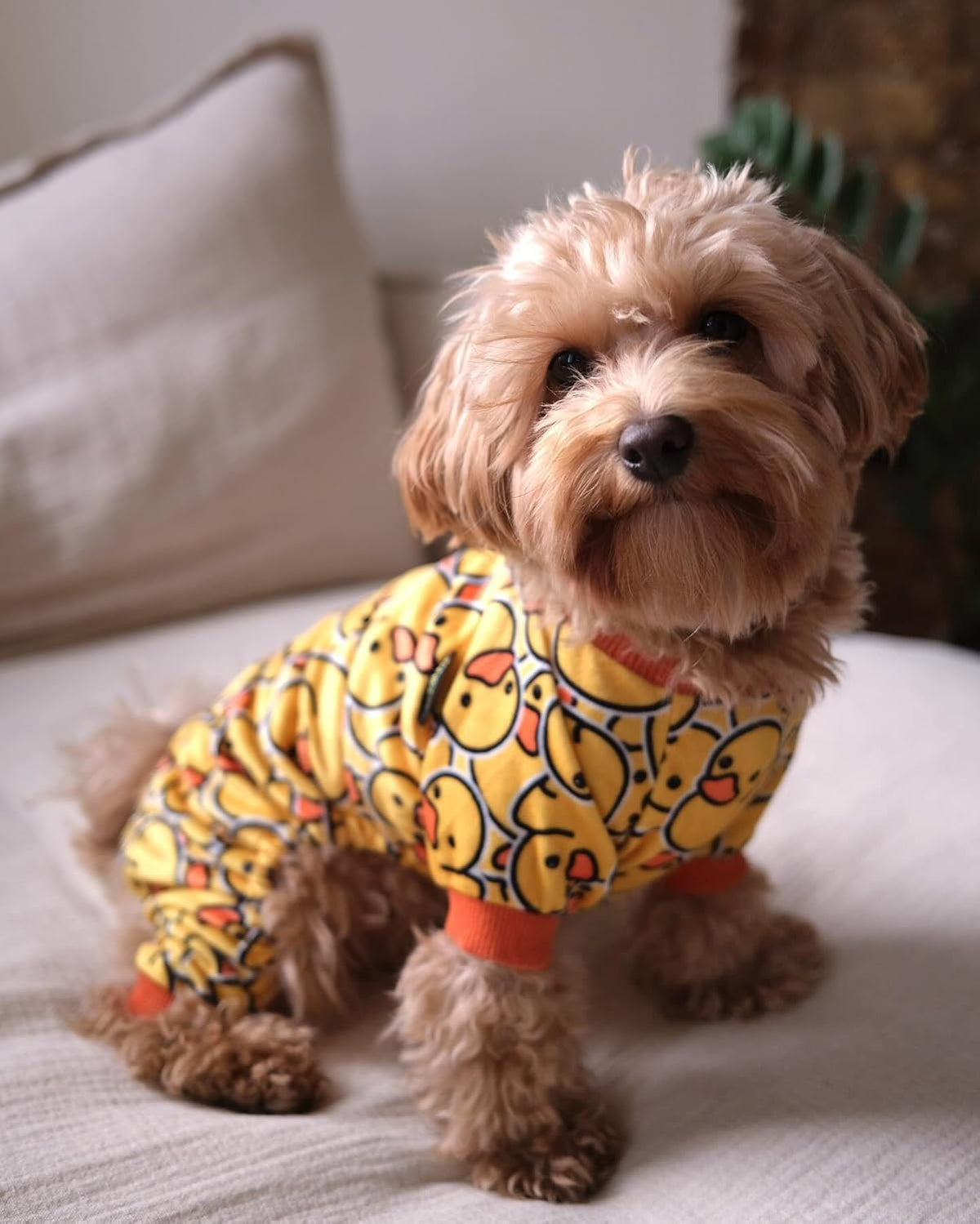 Fitwarm Funny Duck Dog Pajamas, Dog Winter Clothes for Small Dogs Girl, Lightweight Velvet Pet