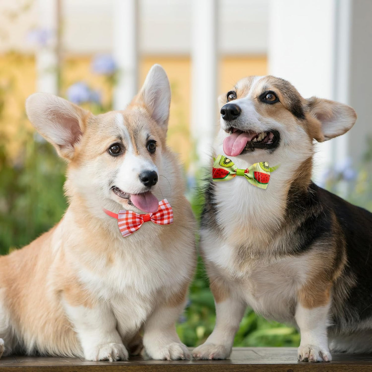 Reginary 50 Pieces Dog Bow Ties Pet Collar Bow Puppy Collar Attachment with Rubber Bands for Small
