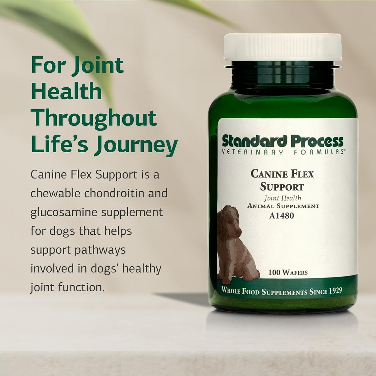 Standard Process Inc. Canine Flex Support - Joint & Immune Health Supplement for Dogs - Chewable