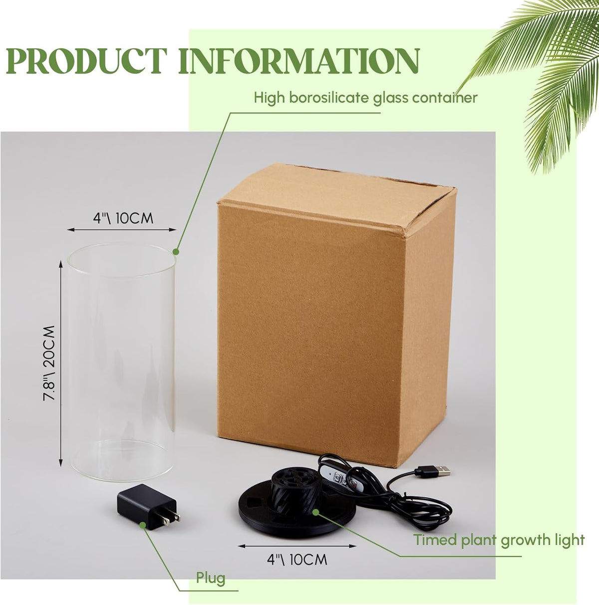 Maxdot Glass Plant Terrarium Kit with Light for Succulent, Moss, Miniature Gardening Landscape