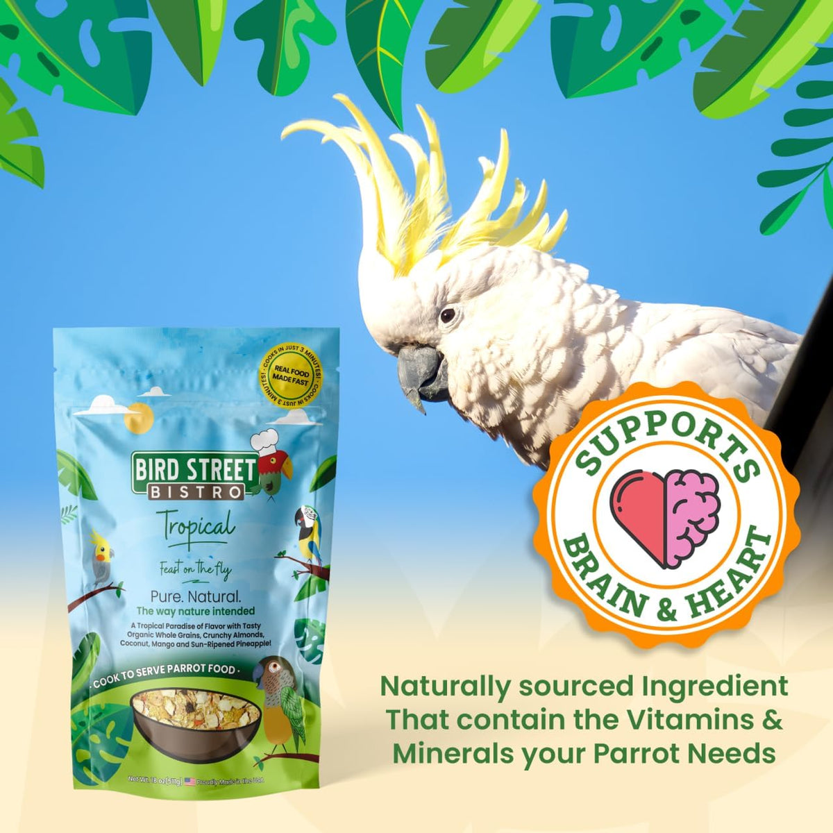Parrot Food - Parakeet- Cockatiel Food - Bird Food - Cooks in 3-15 min w/Natural & Organic Grains
