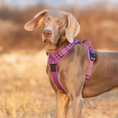 TRUE LOVE Dog Harness No Pull Nylon Reflective Pet Harness Adjustable Comfortable Control Step-in