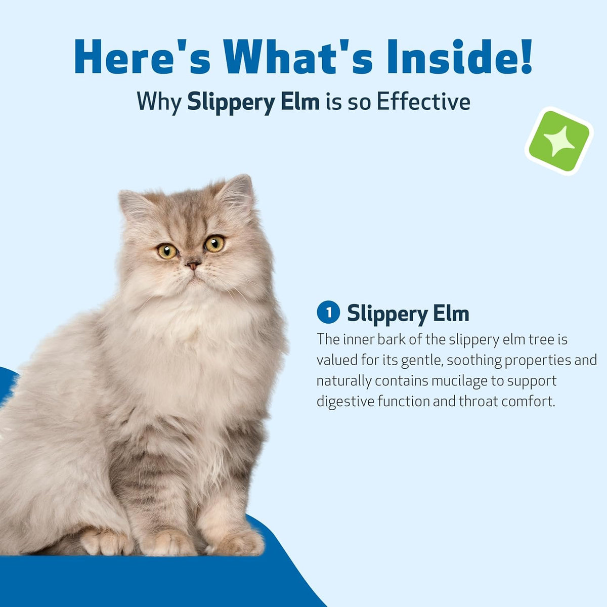 Pet Wellbeing Slippery Elm for Cats - Organic Herb, Supports Healthy Digestive Tract, Gut Lining