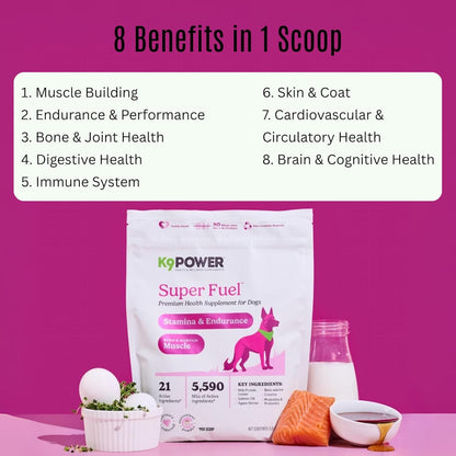 K9 Power Super Fuel for Dogs 1lb - Boosts Energy Levels Supports Muscle Growth & Enhances Joint