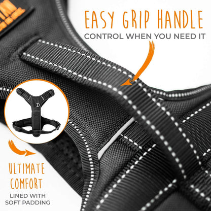 Mighty Paw Sport Harness 2.0 - Padded Canine Accessory - Adjustable Neck and Chest Straps