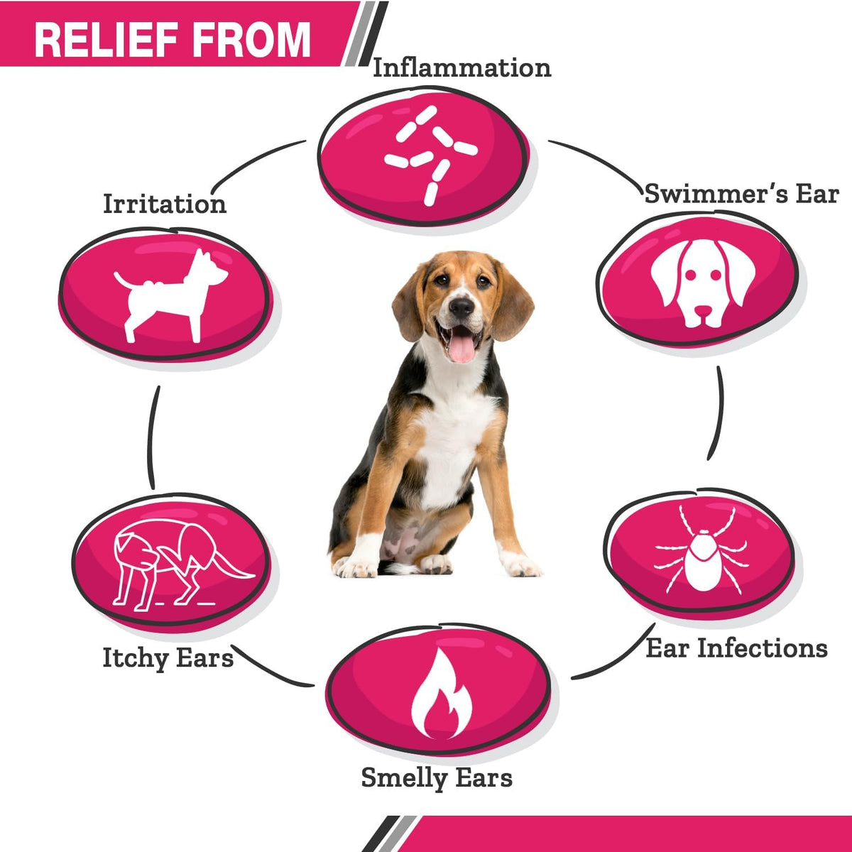 All Natural Ear Flush for Dogs & Cats, Ketoconazole & Chlorhexidine Ear and Vet-Strength Ear wash
