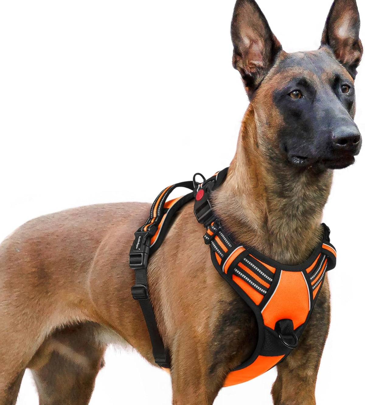 rabbitgoo Dog Harness for Large, No Pull Pet Harness with 3 Buckles, Adjustable Soft Padded Vest