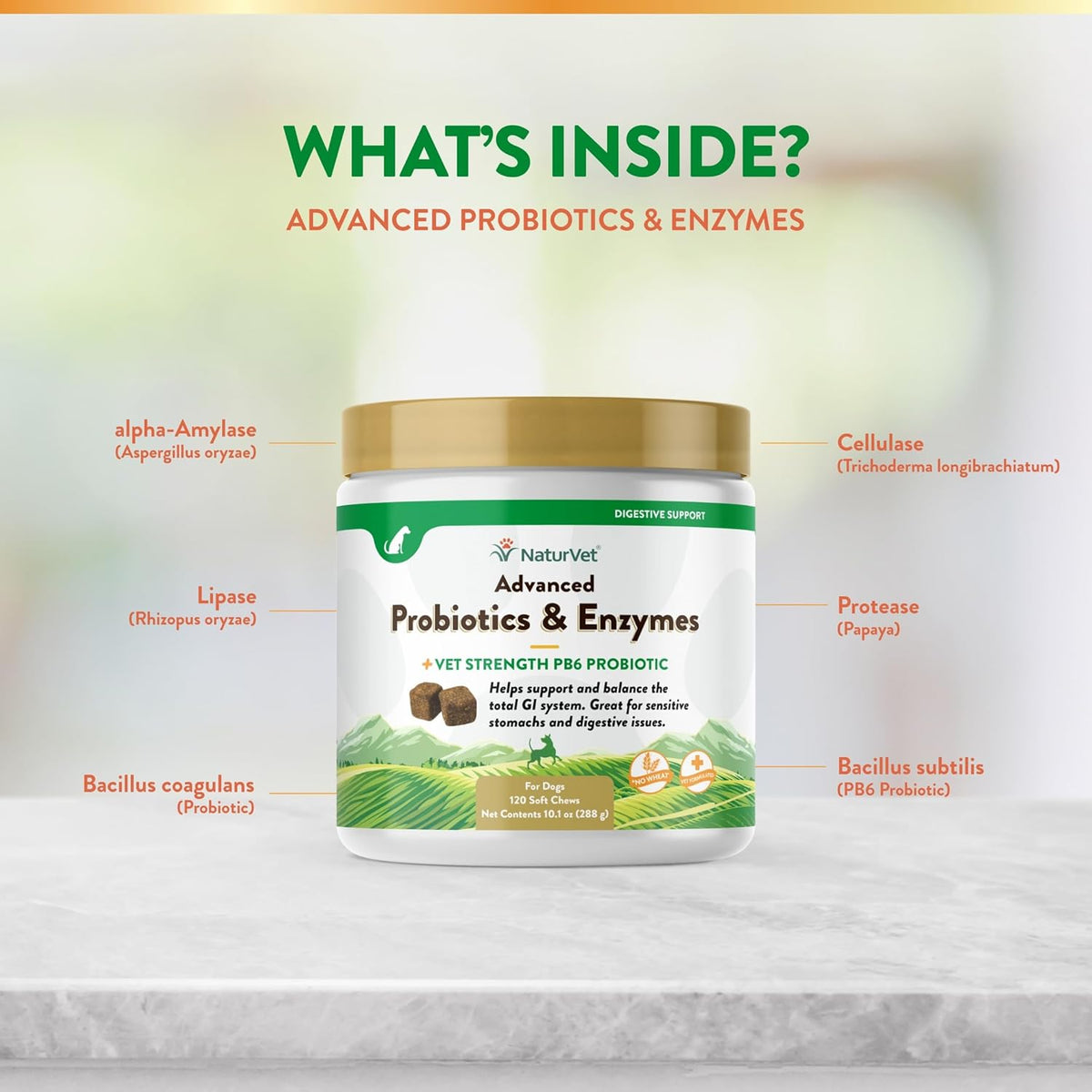 NaturVet Advanced Probiotics & Enzymes, PB6 Dog Soft Chews to Help Sensitive Stomachs and Digestive
