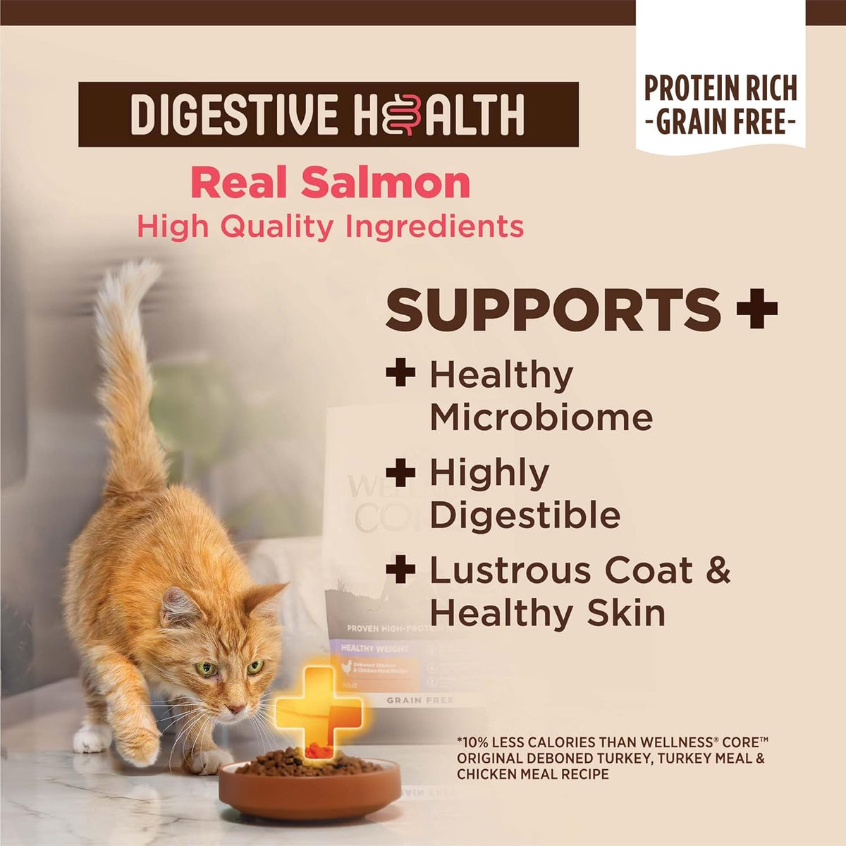 Wellness CORE+ Adult Dry Cat Food for Indoor and Outdoor Cats, Wholesome Grains, Natural, Digestive