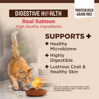 Wellness CORE+ Adult Dry Cat Food for Indoor and Outdoor Cats, Wholesome Grains, Natural, Digestive