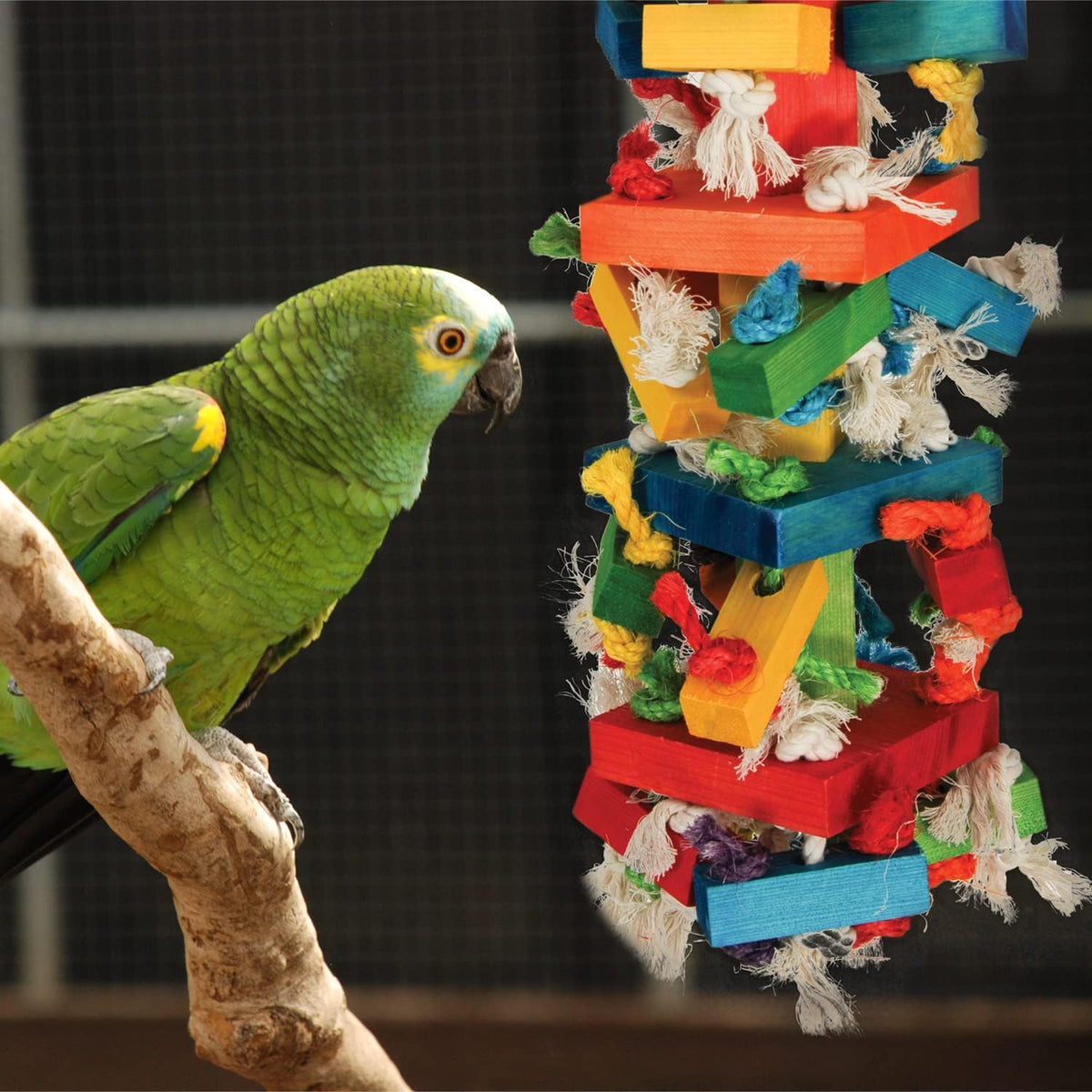Featherland Paradise Knots N Blocks Bird Toy, Bird Toys, for Parrots, Cockatoos, Macaws, Very Large
