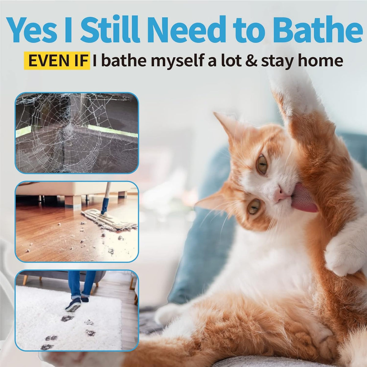 Mooncat Sphynx Cat Waterless Shampoo, Vet Approved No-Rinse Foam for Oily, Sensitive Skin &