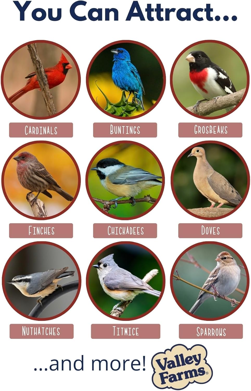 Valley Farms Cardinal Mix 3 LB 2-Pack (6 LB Total) Wild Bird Food for Outside Feeders, Cardinal