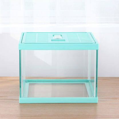crapelles Reptile Terrarium Tank, Snail Jumping Spider Enclosure, Tarantula Insect Pet Box