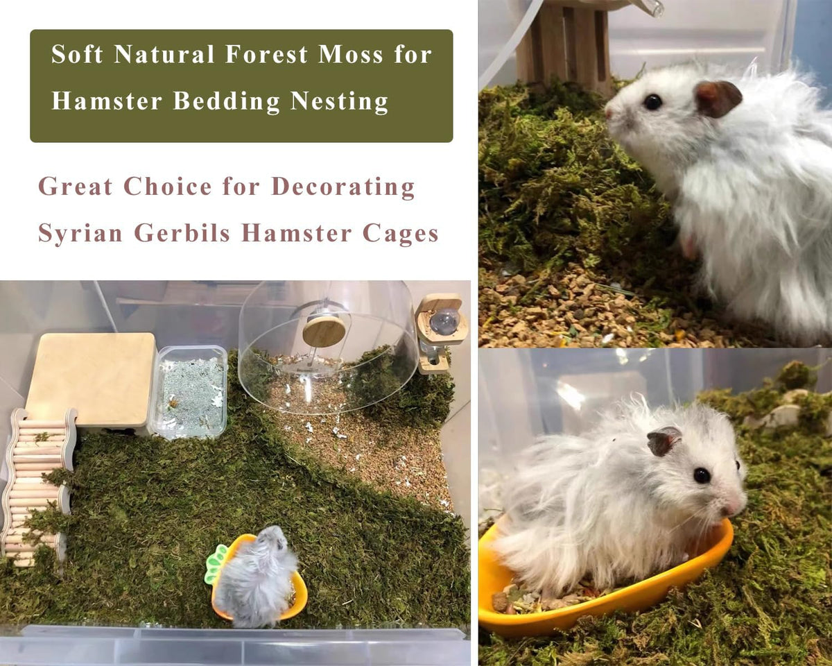5L Forest Moss for Hamster Syrian Gerbils Bedding, Natural Moss Perfect for Potted Plants