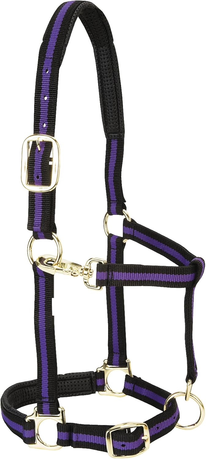 Weaver Equine Nylon Horse Halter, Triple-Ply Cheek Design, Original Non Adjustable Halters for