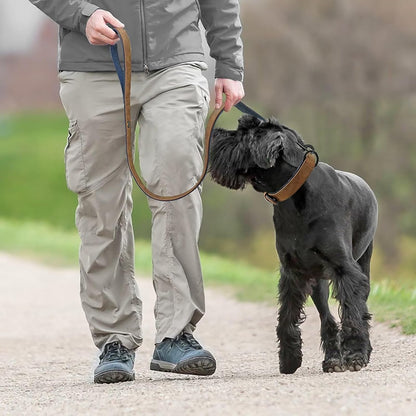 Didog Soft Padded Leather Dog Collar and Leash Set, Adjustable Dog Leash and Collar Set with Metal