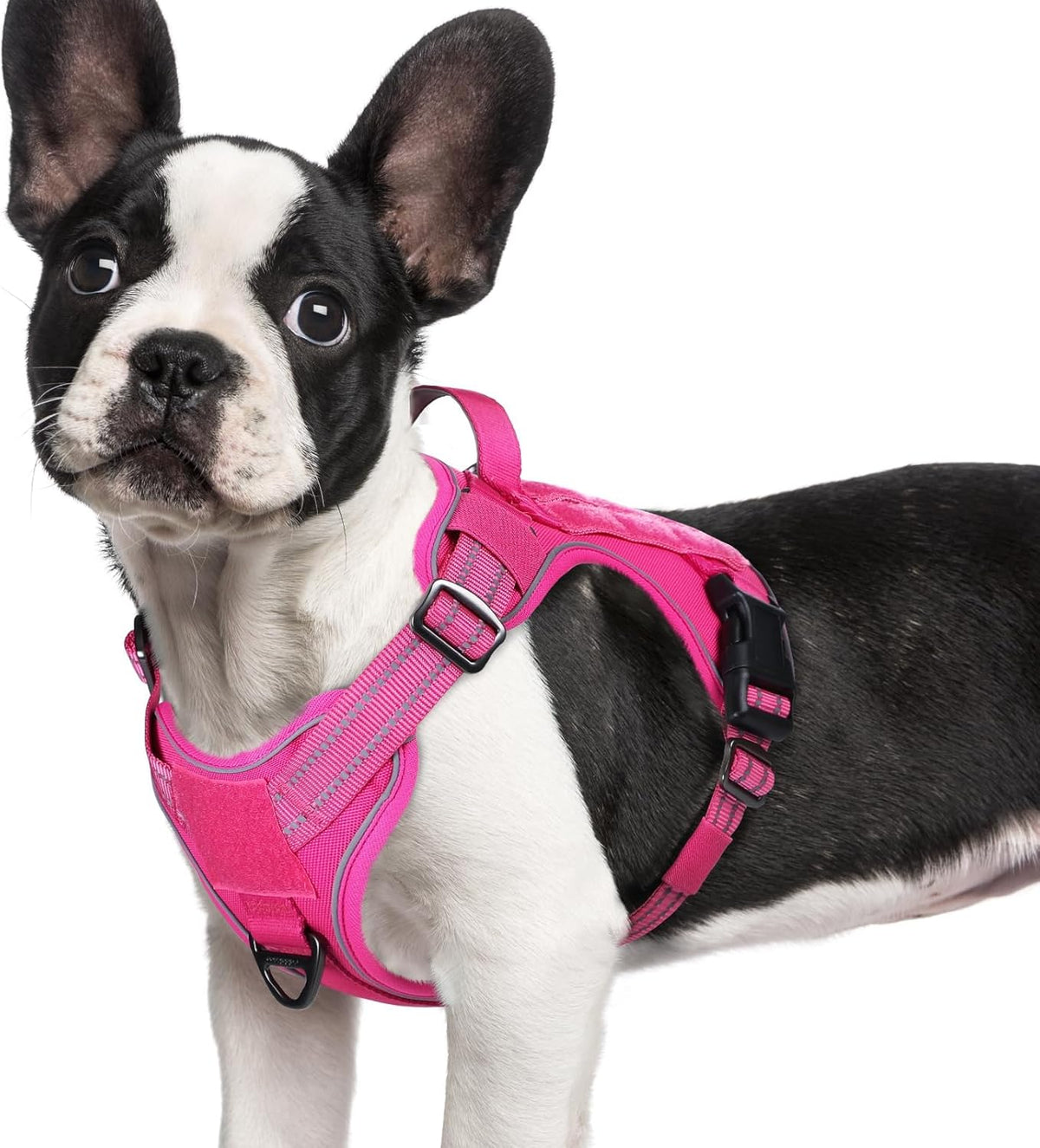 rabbitgoo Dog Harness Small Sized No Pull, Tactical Service Pet Vest with Molle and Control Handle