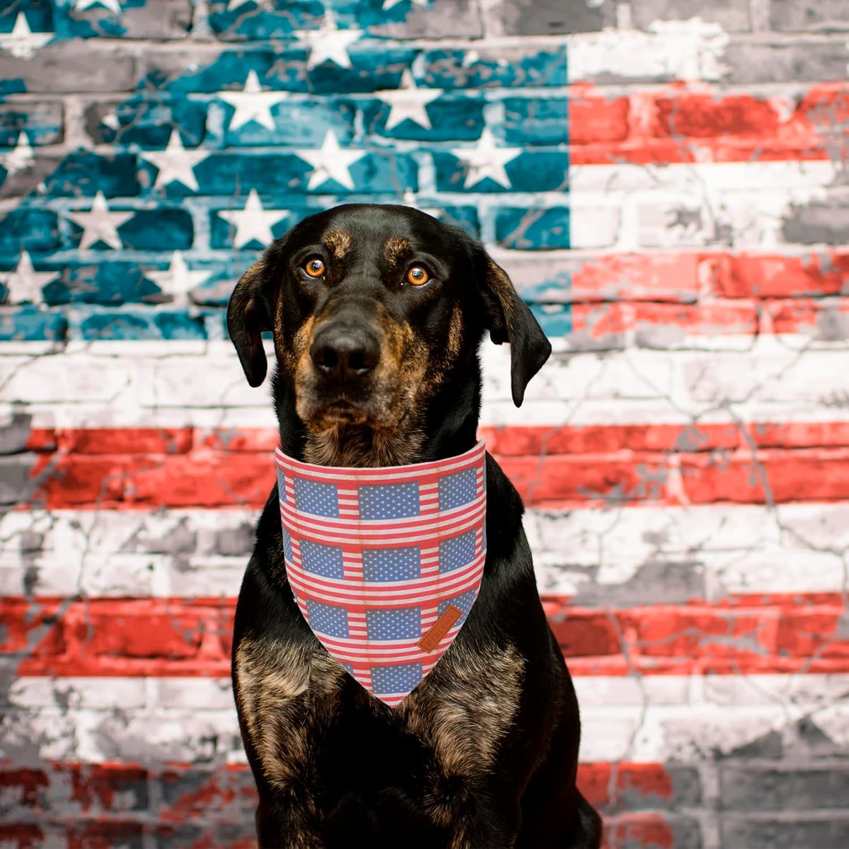 PTDECOR American Flag Dog Bandana Flag Stars Patterns, Patriotic Pet Scarf Reversible Triangle 4th