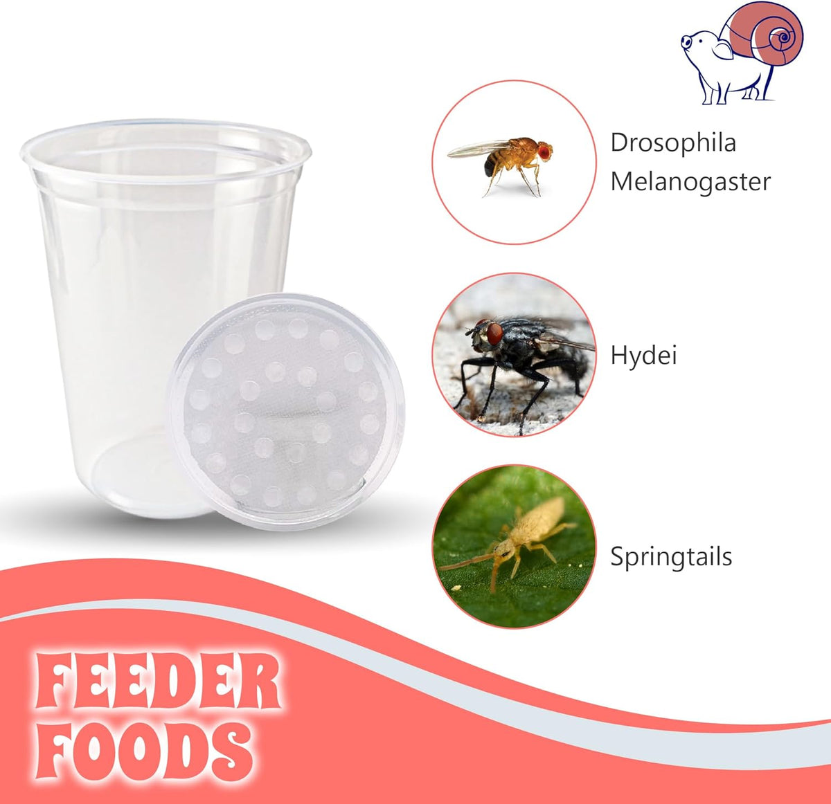 Snout and Shell Deli Cups with Fabric Vented Lids, 10 Pack - Secure Fruit Fly & Insect Cultures