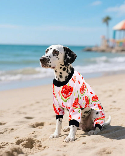 PET SHOW 4 Pack Dog Pajamas for Extra Large Dogs Girl Boy Watermelon Soft Stretchy PJs Whale Ice