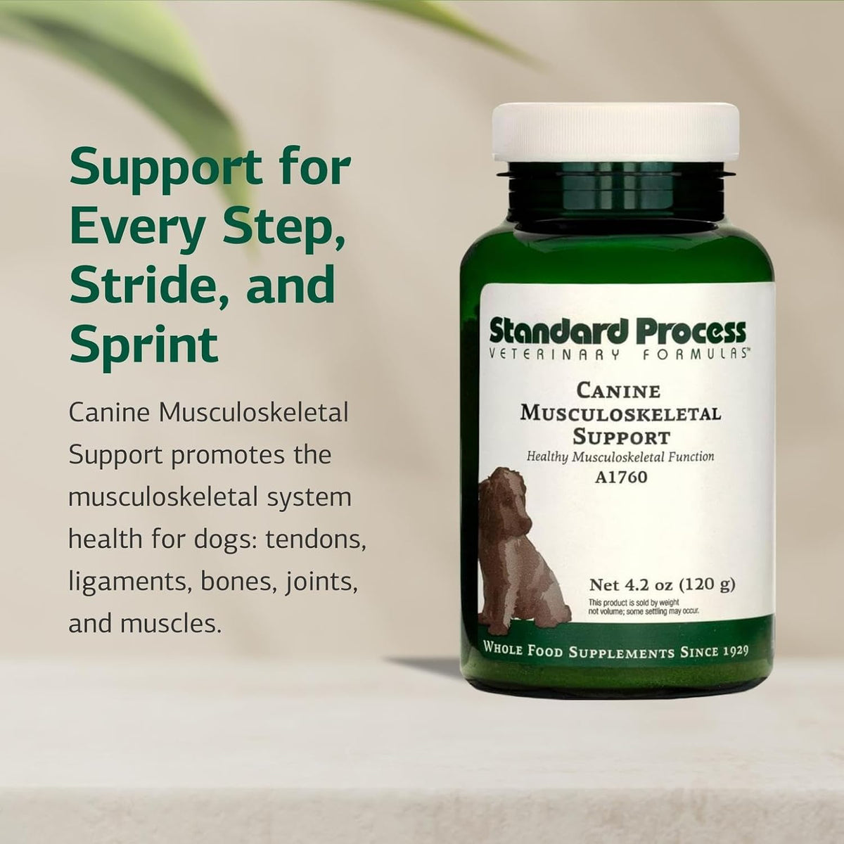 Standard Process Canine Musculoskeletal Support - Bone & Joint Health Formula for Pets - Canine