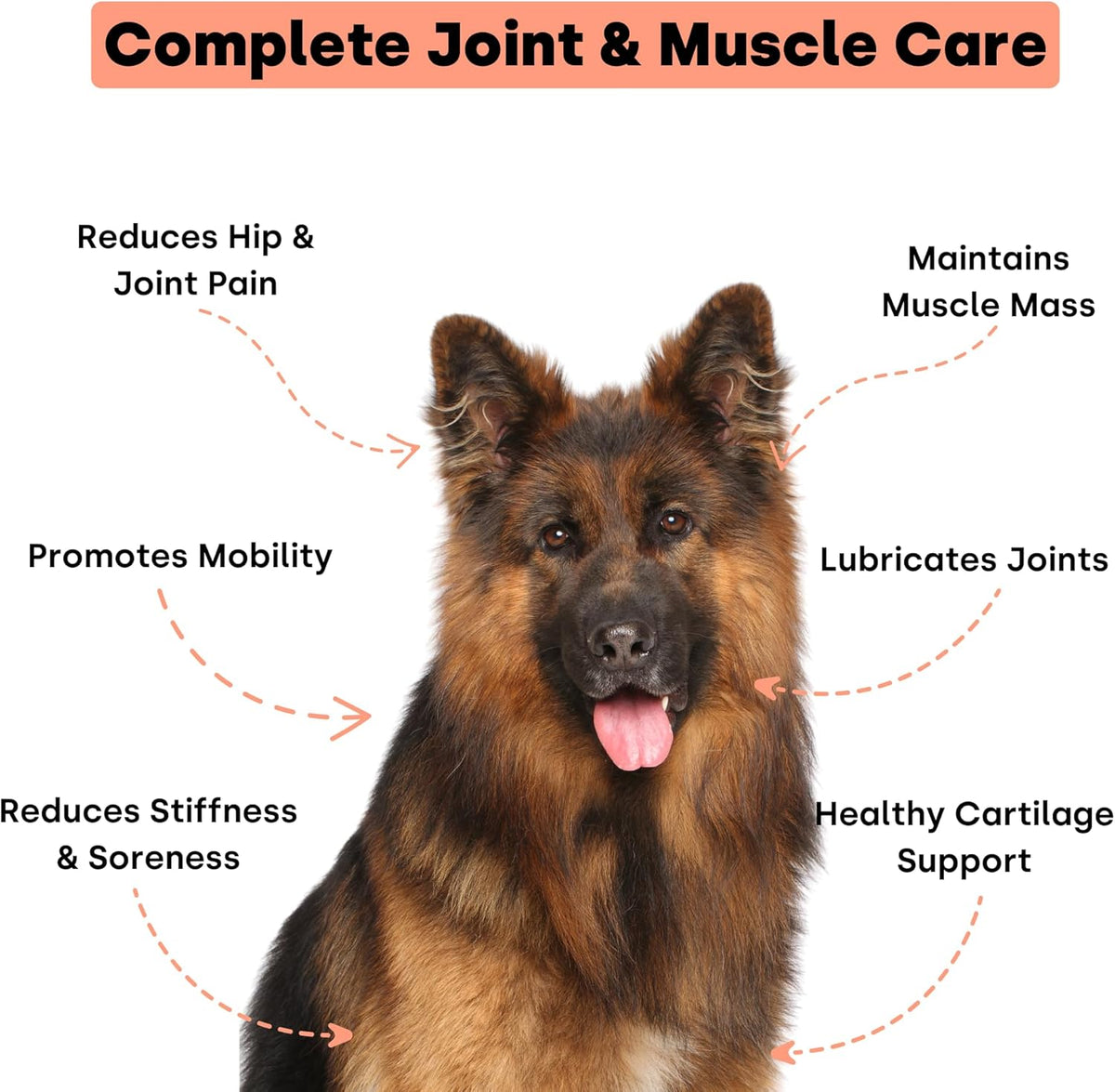 Joint & Recovery | 2-in-1 Joint & Muscle Chews. Help Reduce Pain & Increase Daily Activity. Helps