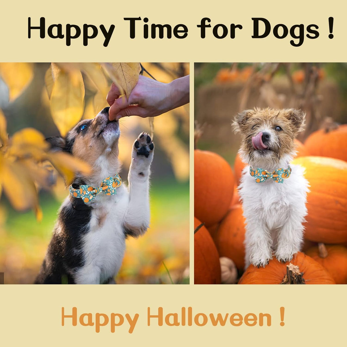 Unique style paws Halloween Dog Collar with Bow Tie Pumpkin Cotton Collar Adjustable Puppy Collar