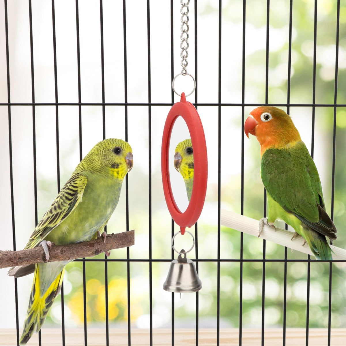 Hypeety Pet Bird Mirror with Bell Interactive Parrot Toy Bird Cage Mirror for Cockatiel Parakeets