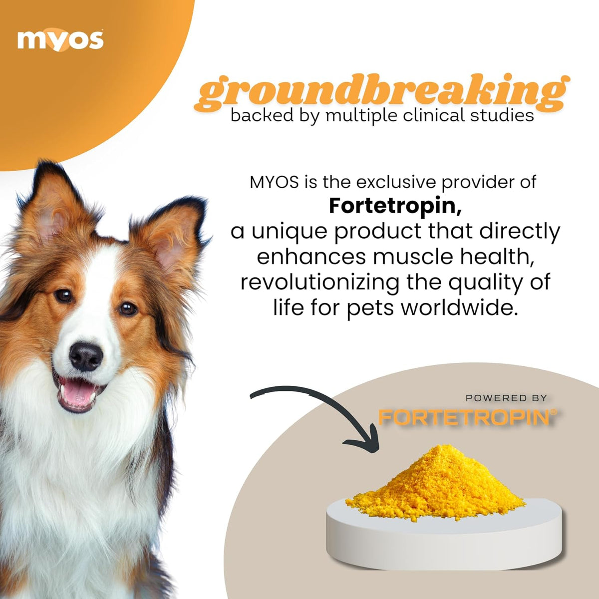 MYOS Canine Muscle Formula - All-Natural Muscle Building Supplement - Helps Reduce Muscle Loss in