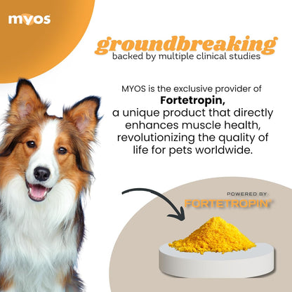 MYOS Canine Muscle Formula - All-Natural Muscle Building Supplement - Helps Reduce Muscle Loss in