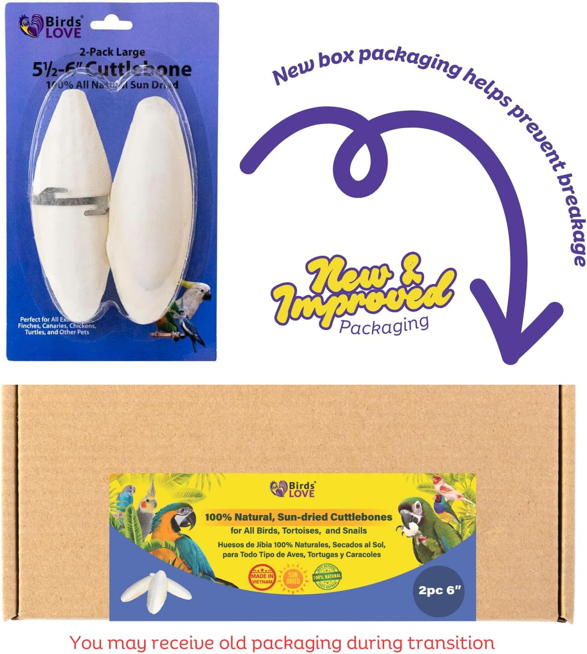 Birds LOVE Natural Cuttlebone | 100% Pure Sun-Dried Calcium Supplement for Birds, Tortoises, Snails