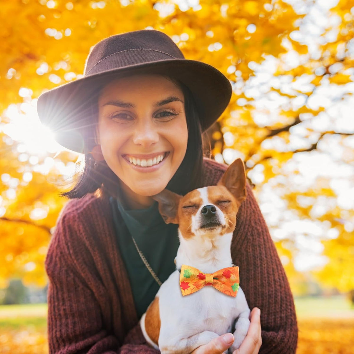 Hillban 50 Pcs Fall Thanksgiving Dog Collar Bow Ties Maple Leaves Dogs Collar Accessories Bow Ties