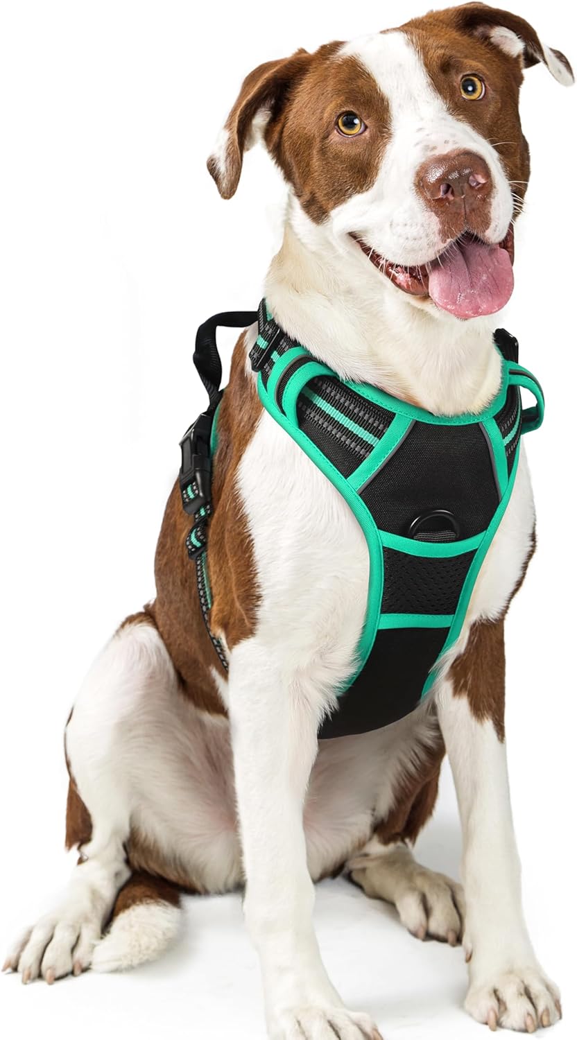 rabbitgoo Dog Harness No Pull with 2 Leash Clips, Adjustable Soft Padded, Reflective Oxford No