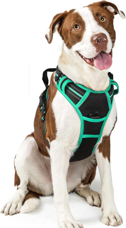 rabbitgoo Dog Harness No Pull with 2 Leash Clips, Adjustable Soft Padded, Reflective Oxford No