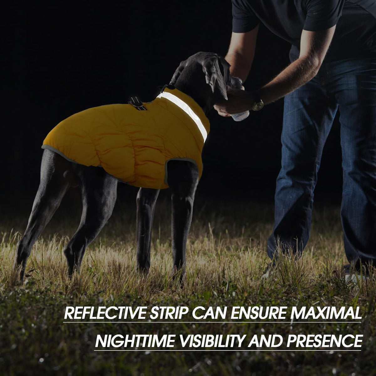FUAMEY Dog Coat for Small Dogs,Waterproof Dog Winter Jacket with Harness Built in Puppy Cold