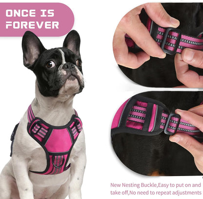 BUMBIN Dog Harness for Large Dogs, No Pull Adjustable No Choke Pet Vest with Dog Leash Fit Smart