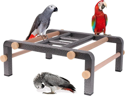Large Bird Table Training Perch for African Grey Macaw Amazon Parrot, Heavy-Duty Metal Ladder No