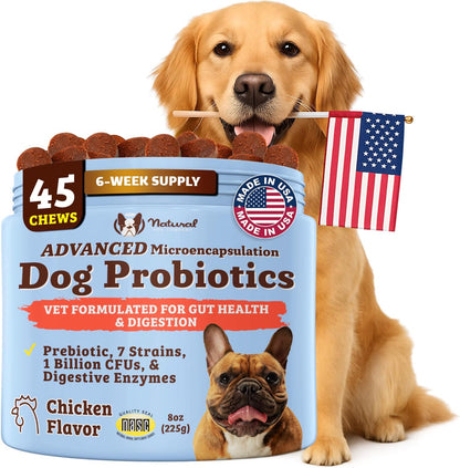 Natural Dog Company Gut Health & Probiotic Chews for Dogs (45 Ct), Prebiotics, Digestive Enzymes &